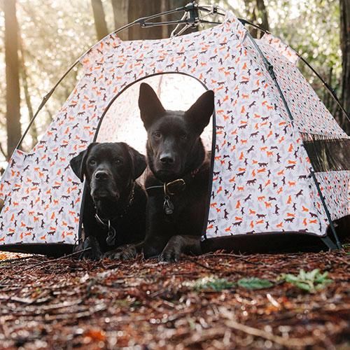 【P.L.A.Y.】アウトドアシリーズ アウトドアテント [プレイ]