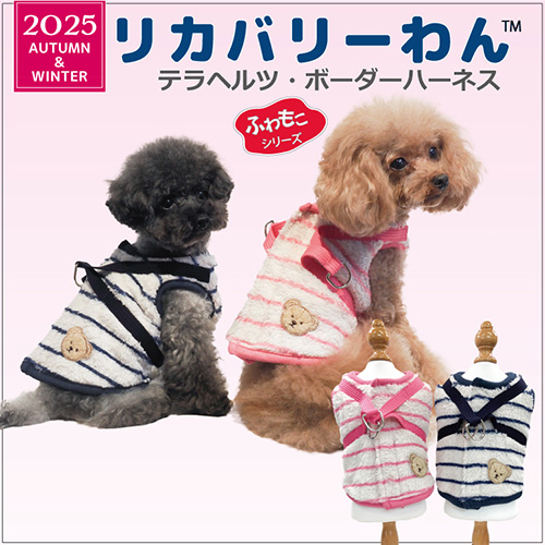 【Coo Couture】クークチュール　テラボーダーハーネス
