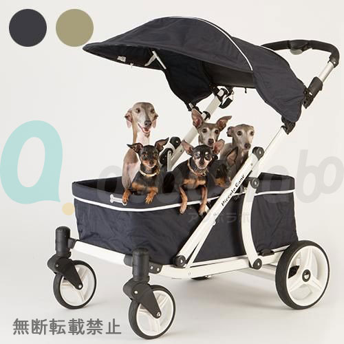 【Piccolo Cane】CREA　ピッコロカーネ　クレア