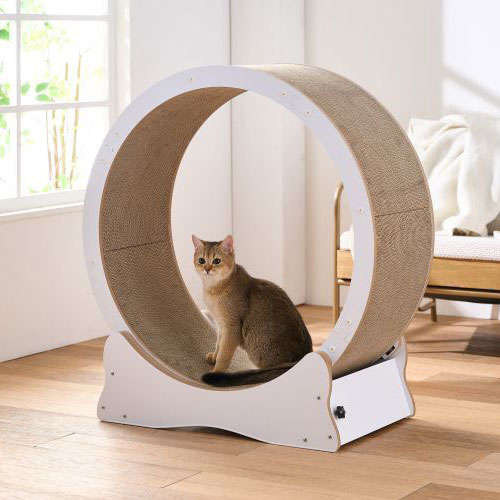 【ボンビアルコン】キャットホイール　ホワイト80