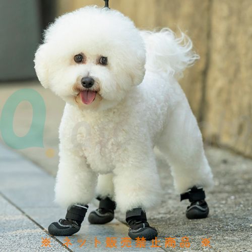 【ペットアドバンス】山歩靴