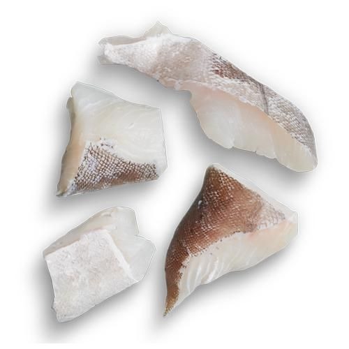 ドッグフード【TRIBAL】トライバル フレッシュサーモン スリム （400g