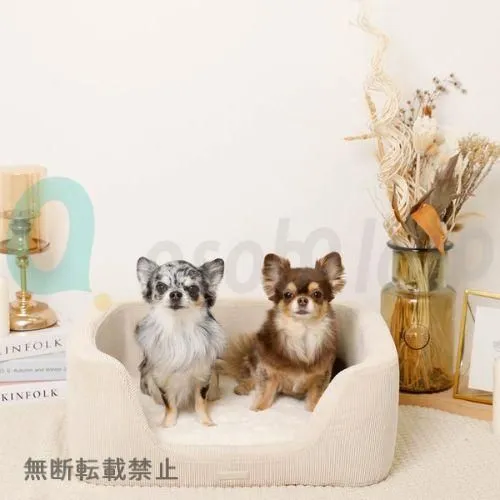 【moncheri】モンシェリ　コーデュロイスクエアクッションベッド