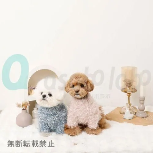 【moncheri】モンシェリ　ミックスヤーンシャギーニット