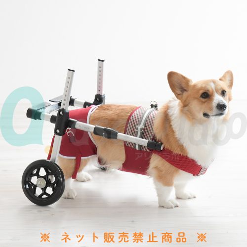 【ペットアドバンス】ドギーサポーター　本体 ＜2サイズ＞