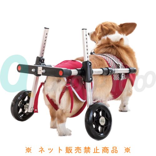 【ペットアドバンス】ドギーサポーター + 専用ハーネス　セット品