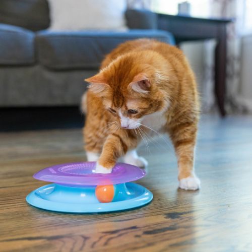 【Petstages】ペットステージ　レース・アンド・チェース