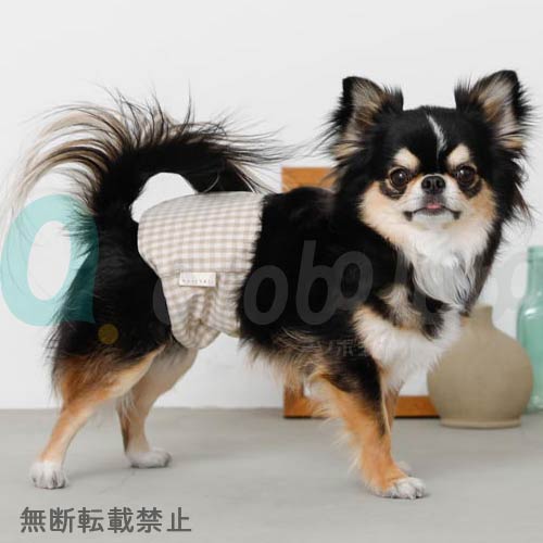 【moncheri】モンシェリ　ギンガムチェックマナーベルト　＜全2色＞