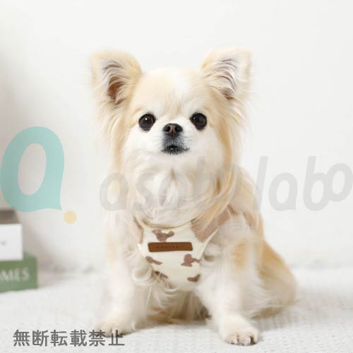 【moncheri】モンシェリ　くまさんハーネス