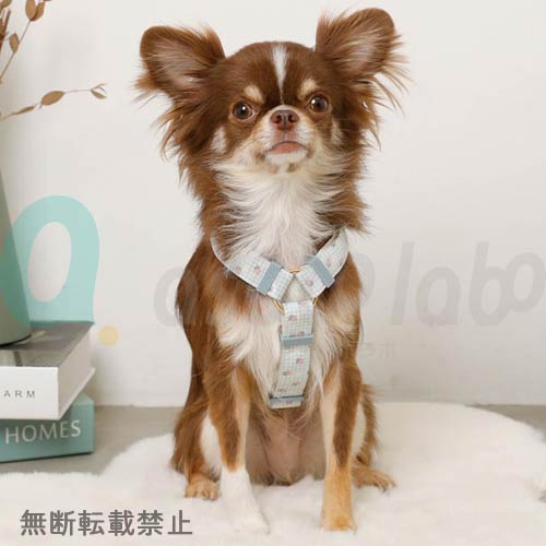 【moncheri】モンシェリ　ギンガムチェックいちごハーネス