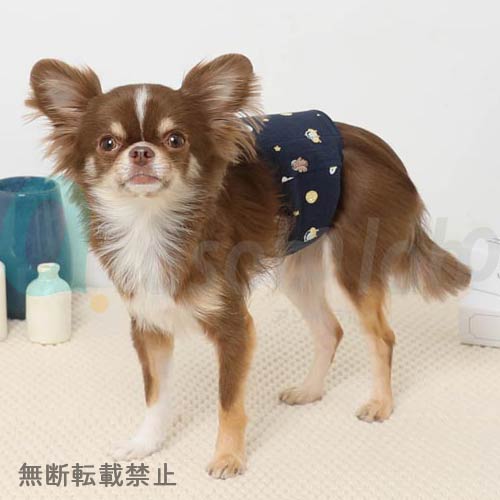 【moncheri】モンシェリ　宇宙柄マナーベルト