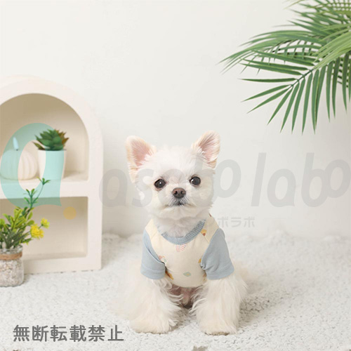 【moncheri】モンシェリ　冷感サマープリントバイカラーTシャツ（保冷剤対応）　＜全2色＞