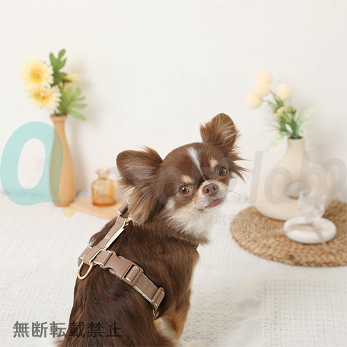 【moncheri】モンシェリ　PUテープコンビハーネス