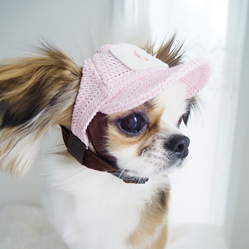 【GARDEN OF EDEN】ガーデンオブエデン　メッシュCAP＜全3色＞＜全3サイズ＞