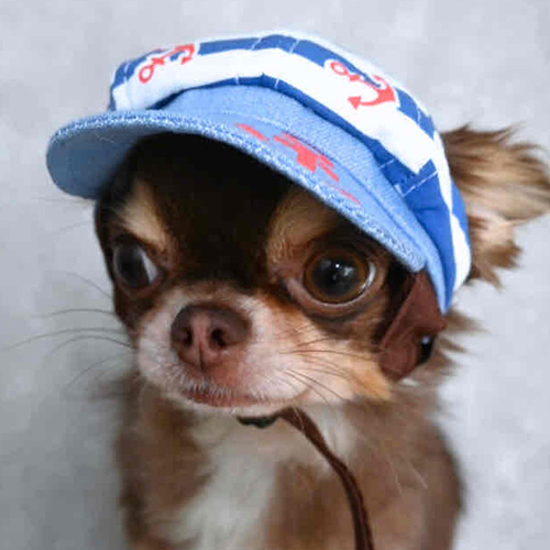 【GARDEN OF EDEN】ガーデンオブエデン　マリンキャスケット＜全2色＞＜全3サイズ＞