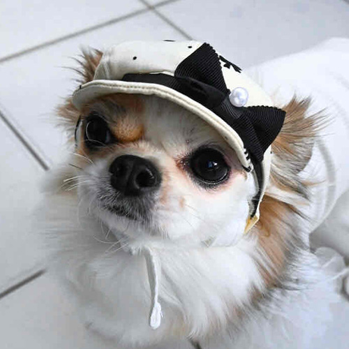 【GARDEN OF EDEN】ガーデンオブエデン　リボンキャスケット＜全2色＞＜全3サイズ＞