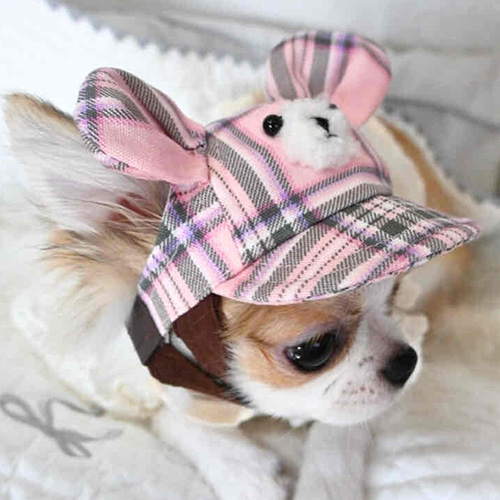 【GARDEN OF EDEN】ガーデンオブエデン　くまっこCAP＜全2色＞＜全3サイズ＞