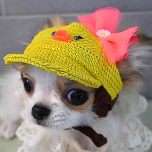 【GARDEN OF EDEN】ガーデンオブエデン　ANIMALMeshCAP＜全4種類＞＜全3サイズ＞