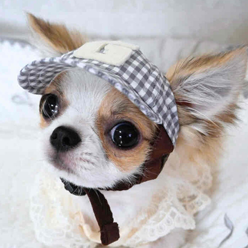 【GARDEN OF EDEN】ガーデンオブエデン　ベースボールキャップ＜全4種類＞＜全3サイズ＞