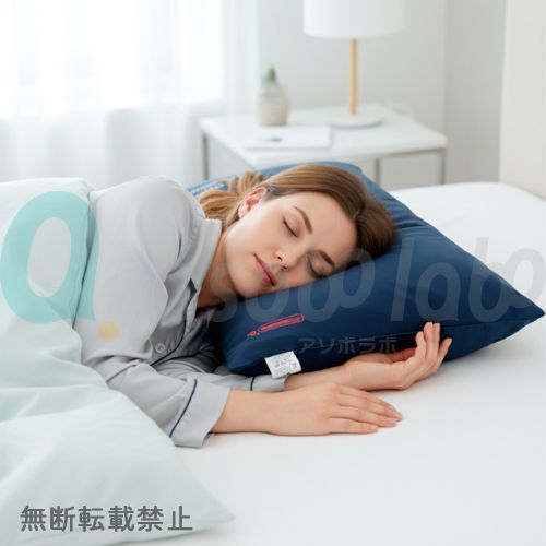 【PROMO THERMO】プロモサーモピロー ブラックシリカ プレミアム　枕