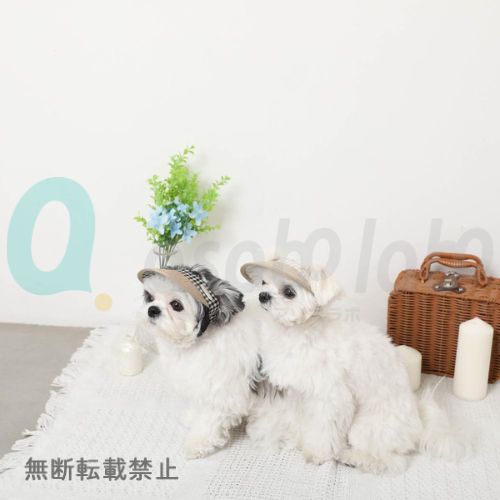 【moncheri】モンシェリ　麦わらサンバイザー