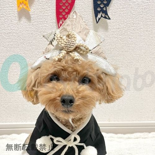 ONEKOSAMA OINUSAMA　ペット用オリジナル兜