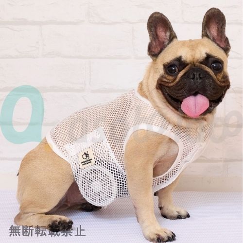 ONEKOSAMA OINUSAMA　空調ペット服 COOL DOG