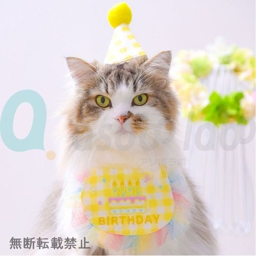 ONEKOSAMA OINUSAMA　バースデースタイ＆帽子セット