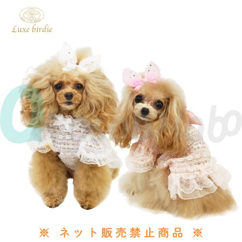 【Luxe birdie】 リュクスバーディー ダンテルタンクトップ
