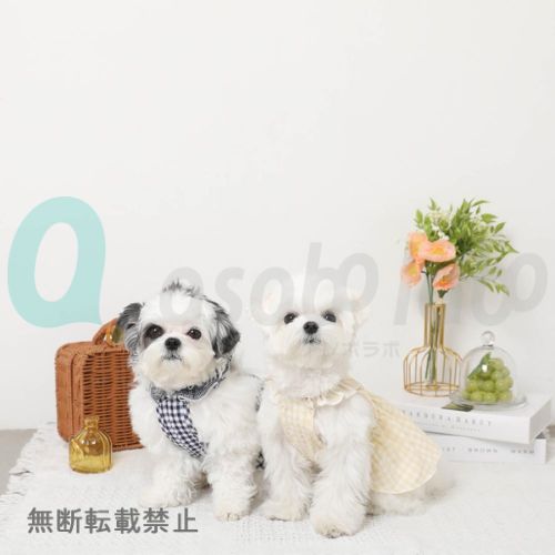 【moncheri】モンシェリ　冷感MIXギンガムチェックワンピース