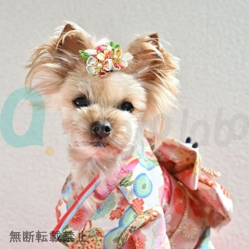 【ONEKOSAMA OINUSAMA】オネコサマオイヌサマ　つまみ細工ヘアアクセサリー花3つ（クリップタイプ）