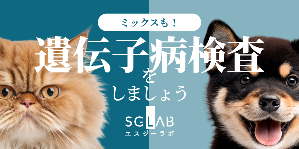 遺伝子検査キット取り扱い始めました