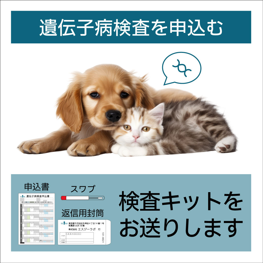 遺伝子病用 検査キット