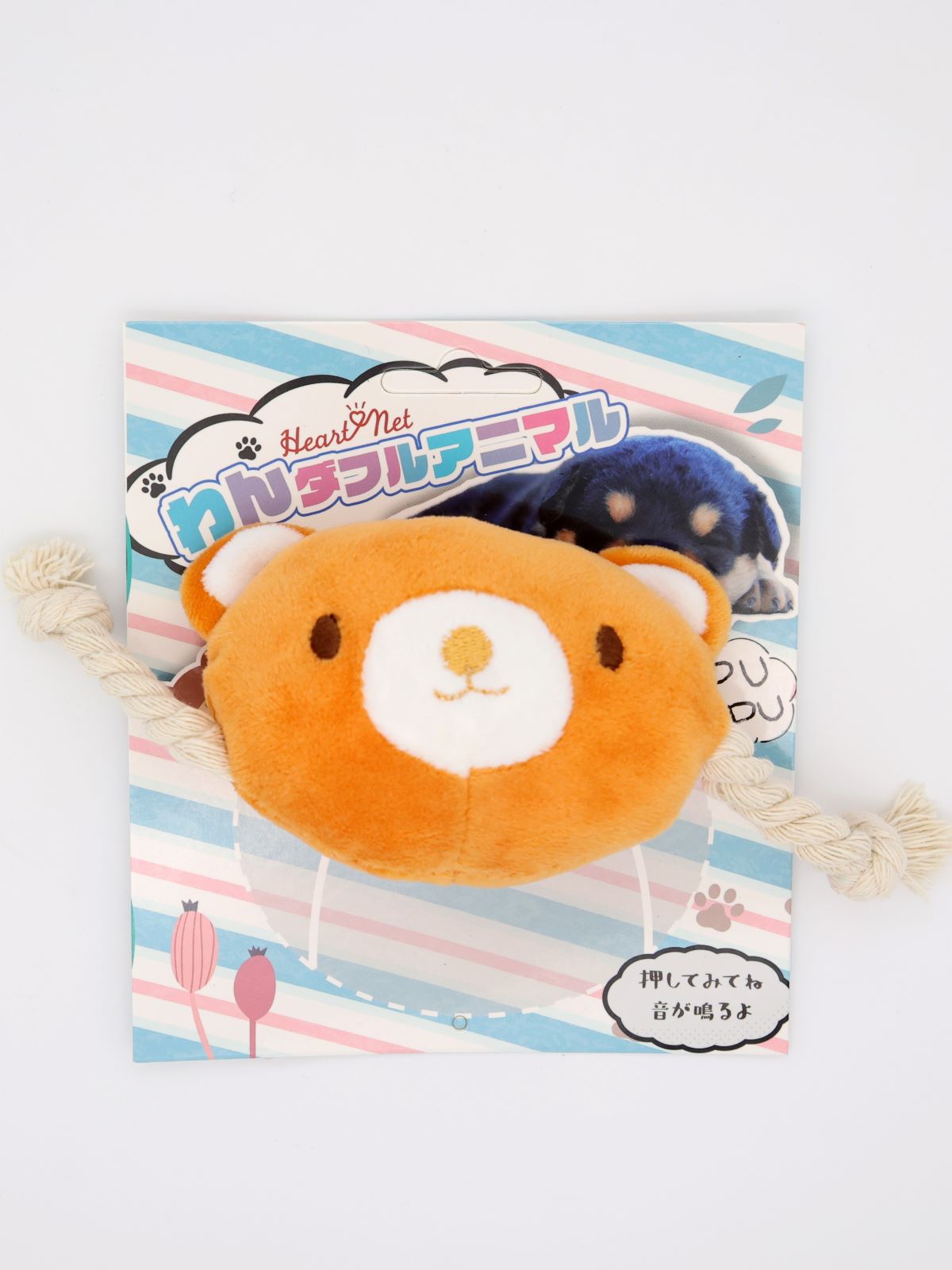 わんダフルアニマル クマ