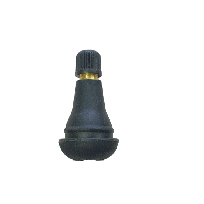 4827828 ｺﾞﾑﾊﾞﾙﾌﾞ4駆用20本ﾊﾟｼﾌｨｯｸ TR415P-20