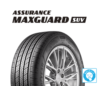 ｱｼｭｱﾗﾝｽ ﾏｯｸｽｶﾞｰﾄﾞSUV 225/65R17 102V