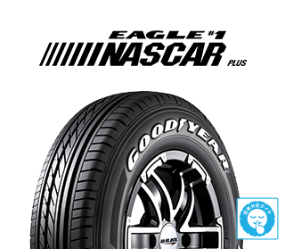 ｲｰｸﾞﾙ#1ﾅｽｶｰﾌﾟﾗｽ 195/80R15 107/105N