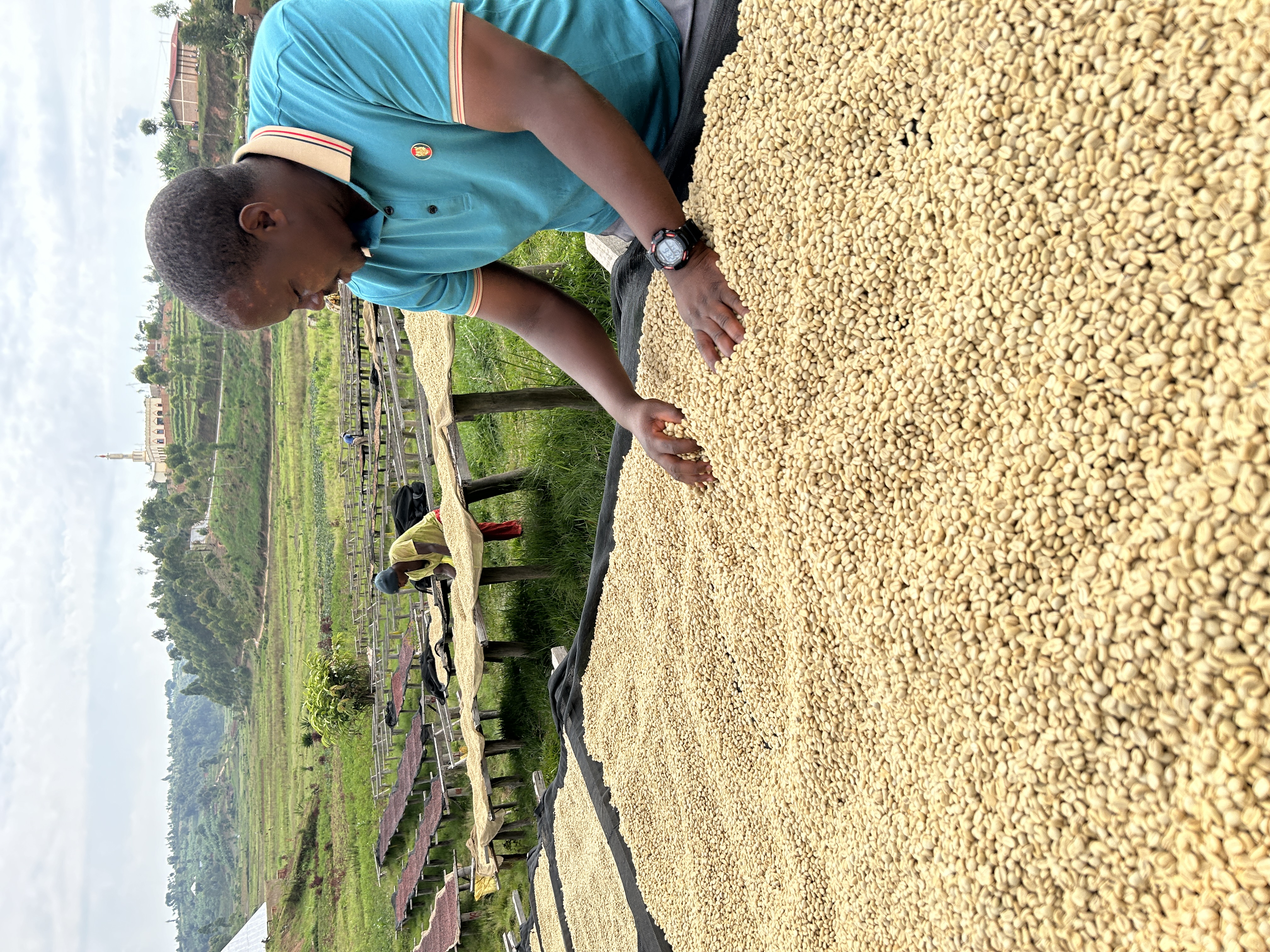 ブルンジ ルウィンタレ丘 エフレム【ライトロースト】