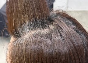 白髪カバー Before