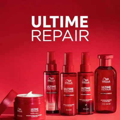 アルタイムシリーズ