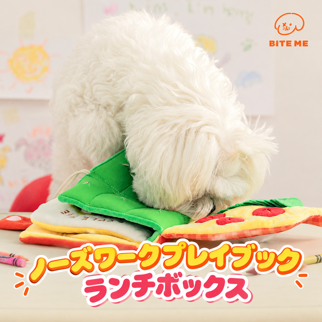ノーズワークプレイブック ランチボックス