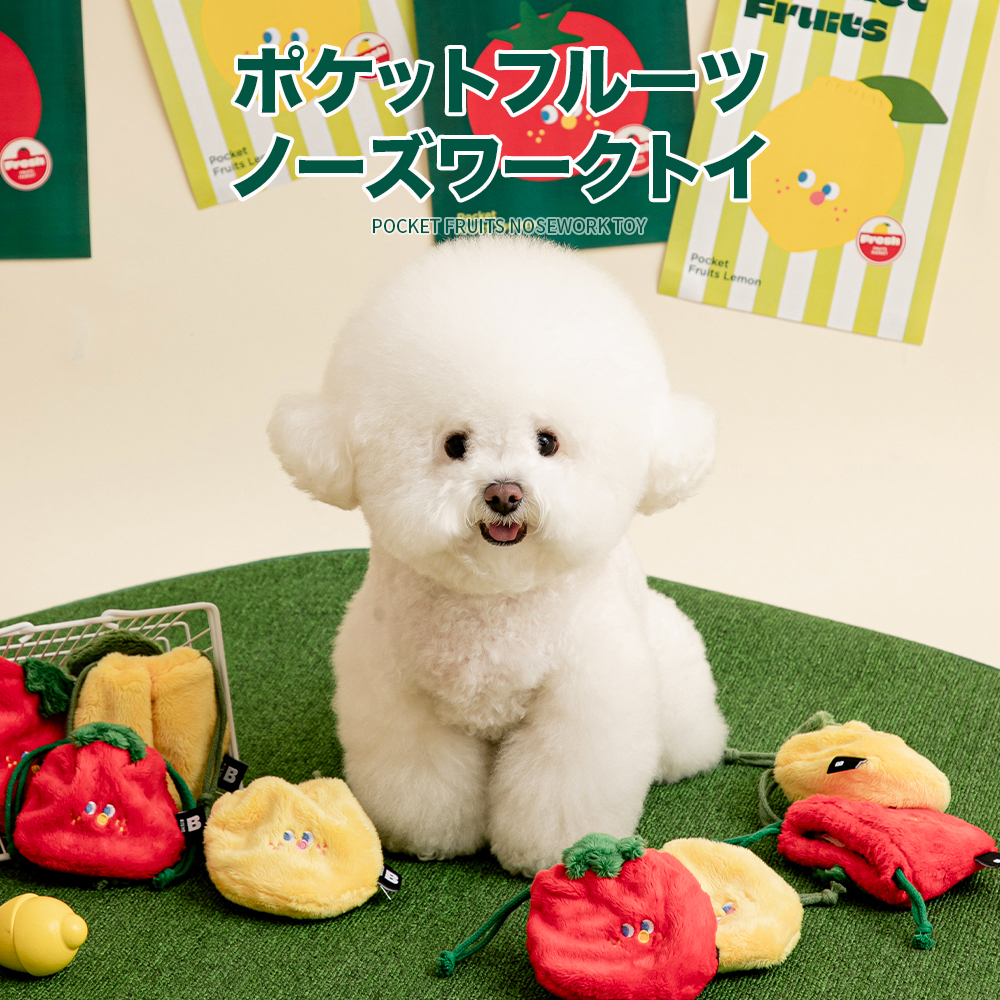 ポケットフルーツノーズワークトイ