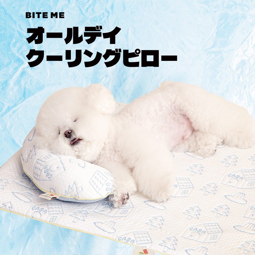 オールデイ クーリングピロー