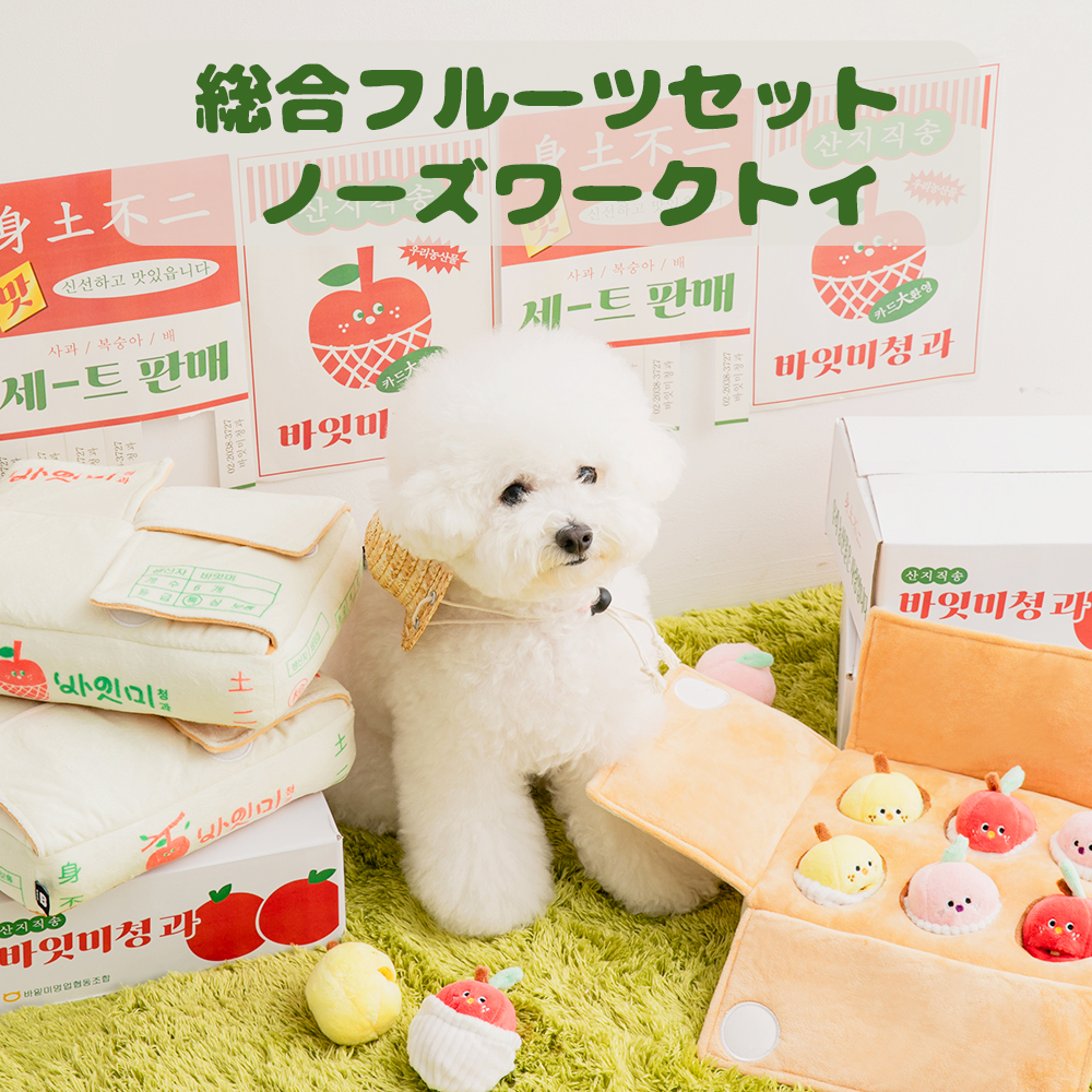 総合フルーツセット ノーズワークトイ
