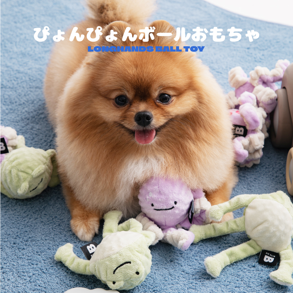 ぴょんぴょんボールおもちゃ