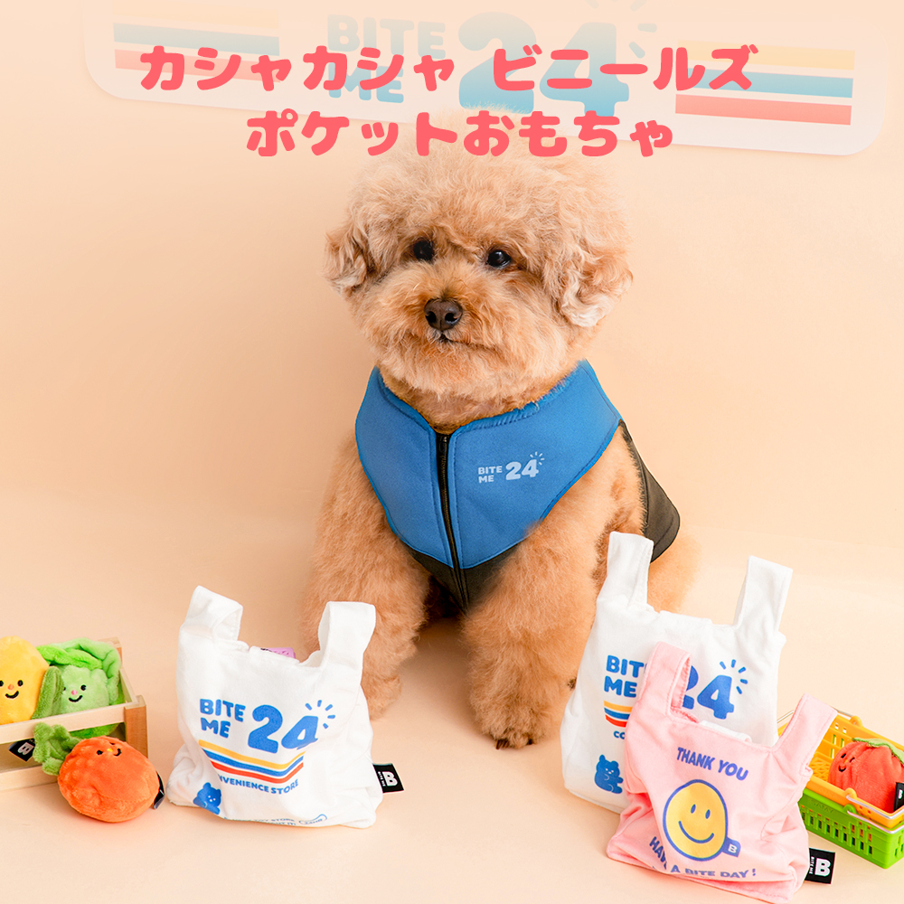 カシャカシャ ビニールズ  ポケットおもちゃ
