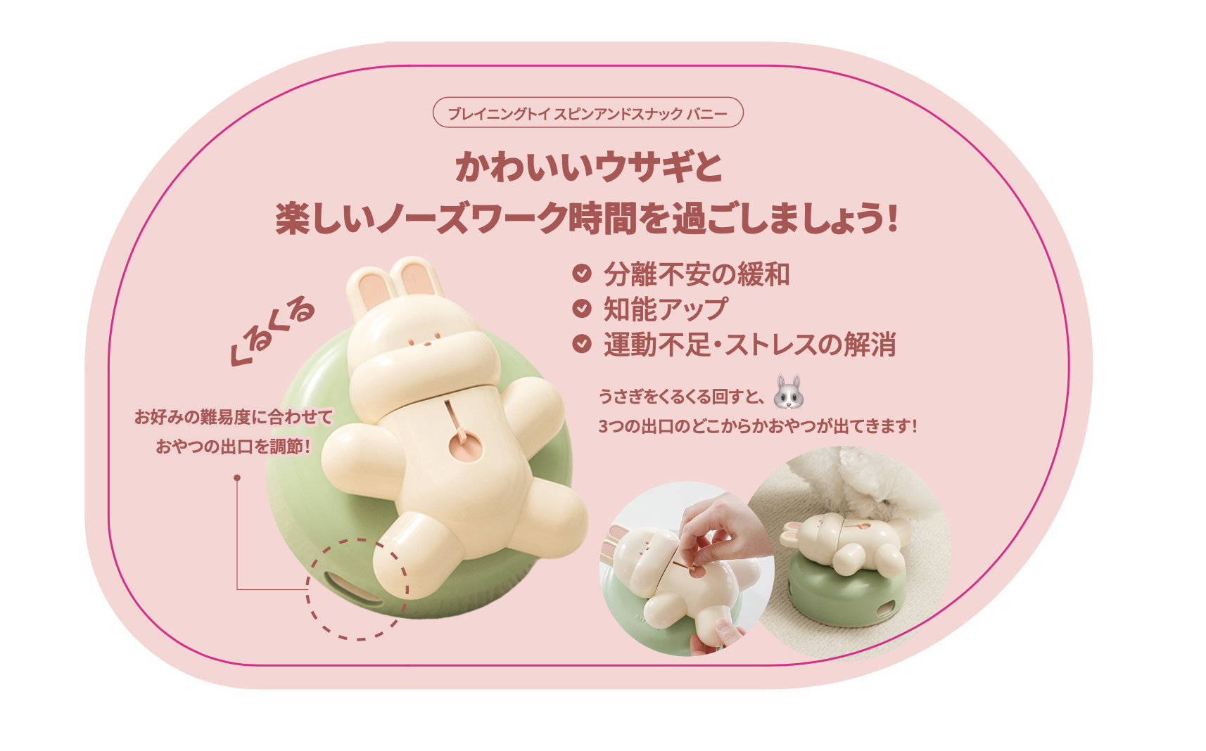 【販促ポップ】ブレイニングトイ スピンアンドスナック バニー