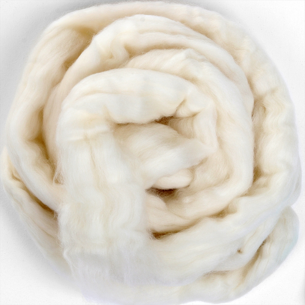原毛 ポロアス スライバー 500g