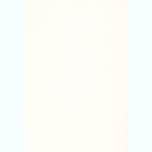 【別送品】WSタックシート／WS-4007E-S