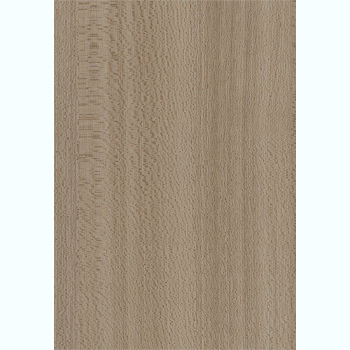 【別送品】WSタックシート／WS-5181E